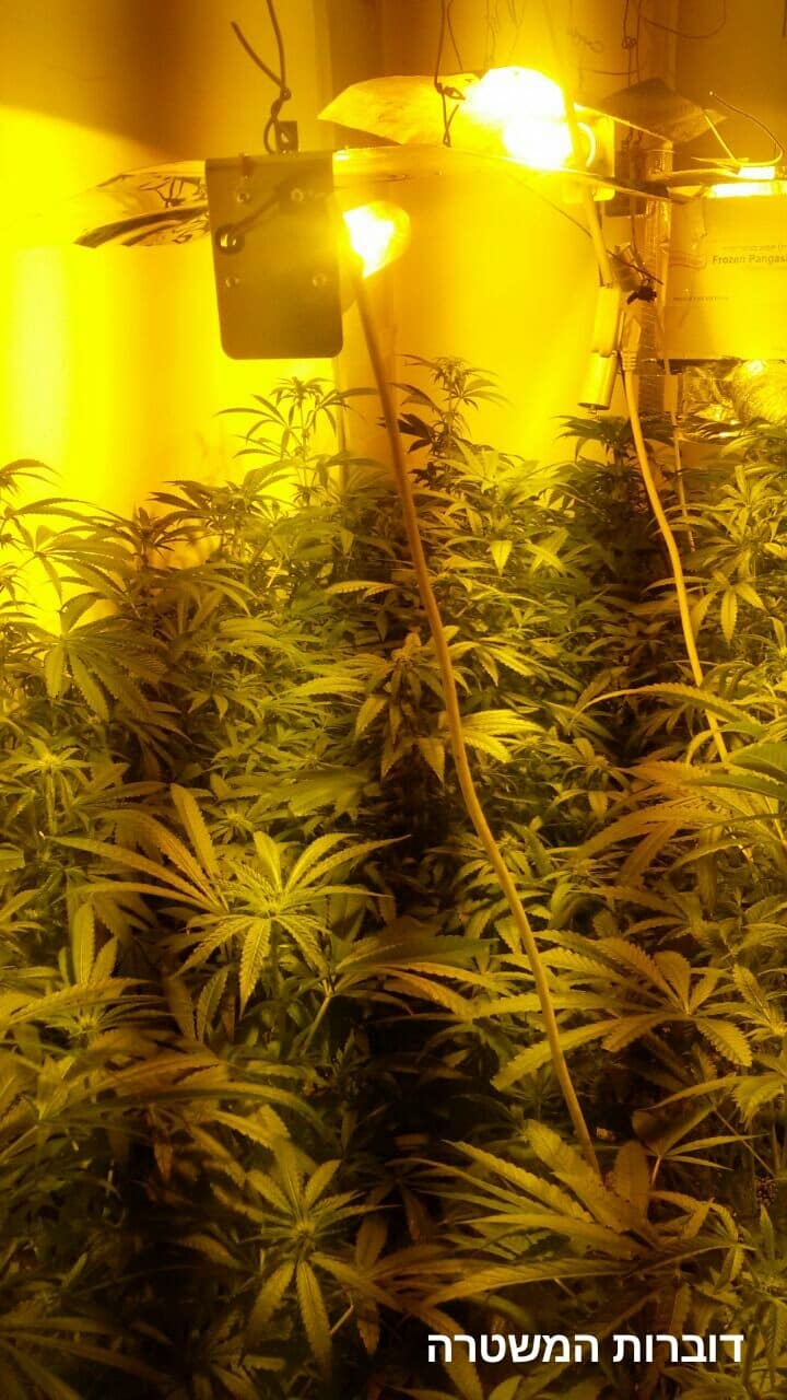 hidro hadar hakarmel