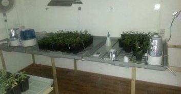 סמים במסווה של צעצועים