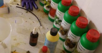 השוטרים חשפו: הנגריה היא מעבדת הידרו