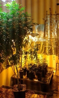 hidro kfar saba 8-12