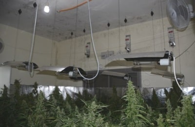 hidro pardes hana400