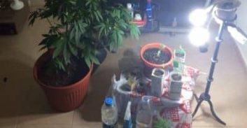 הרגשה של "כולם עושים את זה"