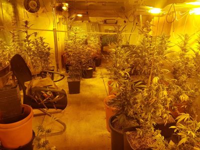 hidro turgeman holon