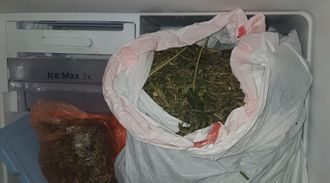 דירת הידרו עם 103 שתילים בעיר נשר