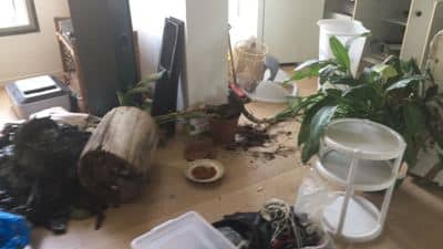 hipus mishtarti samim