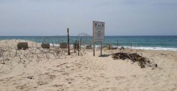 דייגים, חוששים מקסאמים?