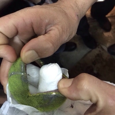 homer shabas 15 11 14