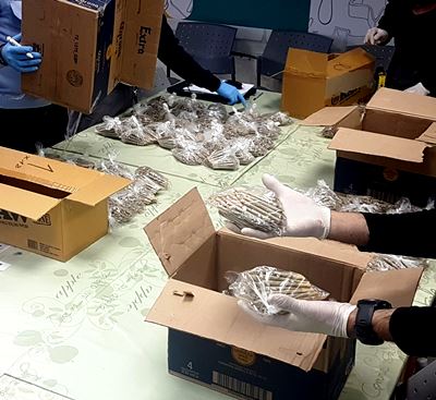 jointim silvester 2018 tlv 400 367