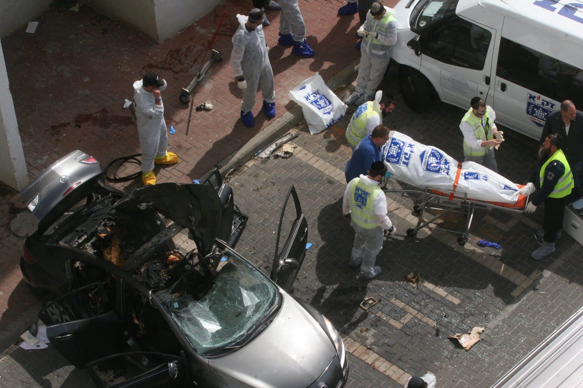 jordan alex shmulik 6