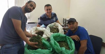 אישום: חמישה ק"ג קנאביס ב"זולה" בדרום