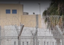 kele hasharon210 150