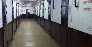 חצי שנת מאסר לחייל על מאות גרמים קנאביס בדירה בנוה שאנן בחיפה