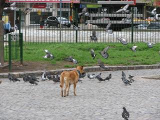 kelev park freepik