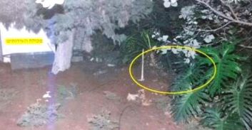 נמצאה גופת תושבת יפו שעל פי החשד נרצחה על ידי אחיה