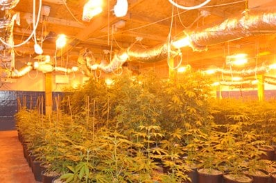 kfar hasidim maabada