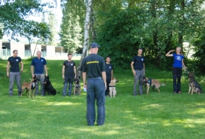 klavim rashut hamisim