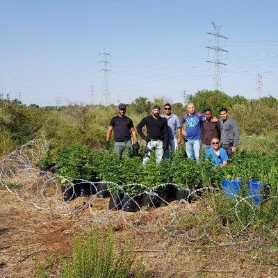 knabis ashdod 400 400