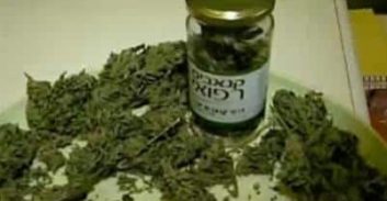 חשד: בעל פיצוצייה נתן שוחד לרופא ו"תיווך" בקבלת רישיונות קנאביס רפואי