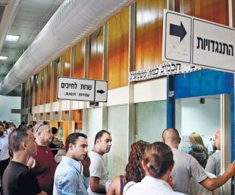 knasot kimhi 330 375