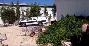 שחרור ראשון בתיק הענק הירוק מניצני עוז