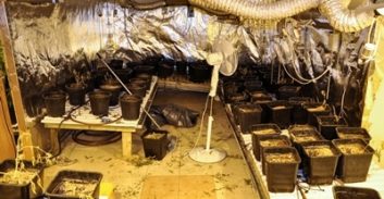 החשד: בני הזוג גידלו קנאביס בעליית הגג