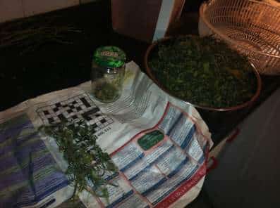 knavus moshav zohar4