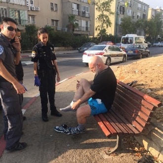 levin michael330 330