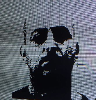 levy shlomy mishtawa