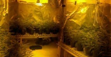 תקדים: תיק מעבדת סמים עם 50 ק"ג בבית משפט קהילתי