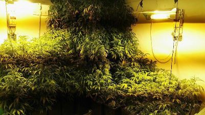 maabada beit shemesh edri david