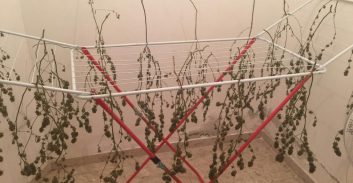 מושב נוגה: הידרו בשיטת ייבוש פרימטיבית