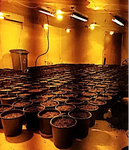 maabada kfar hasidim2