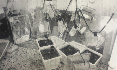 maabada krayot kanavis