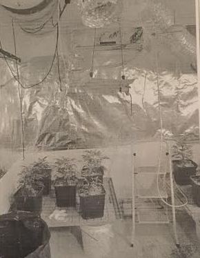 maabada maricuana bat yam