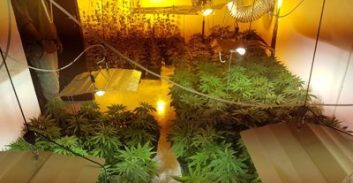 מי אחראי על המעבדה שנחשפה במושב מעונה