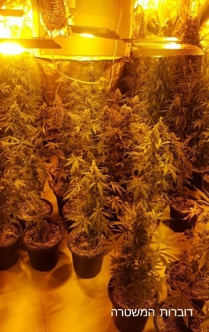 maabada pardes hana 2 4 17