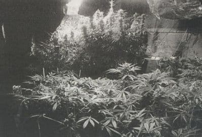 maabada petah tikva henshel1