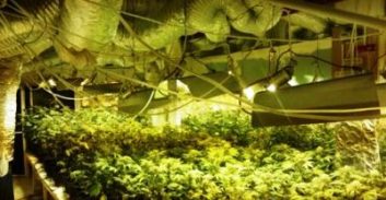 להוציא את המשטרה מהשדה