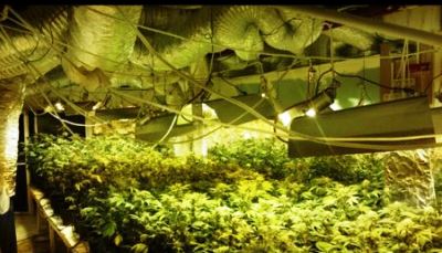 maabada rosh yain400