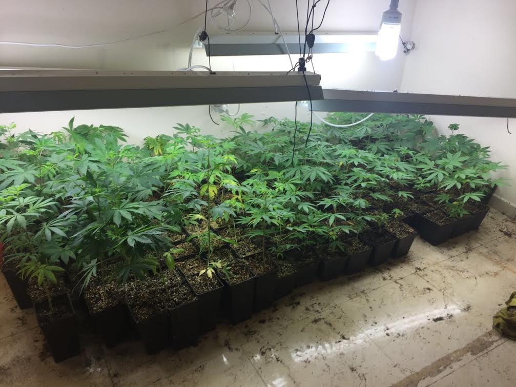 maabada samim shtilim