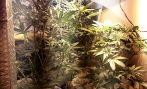 מעבדת הידרו קטנטנה בעיר שלומי