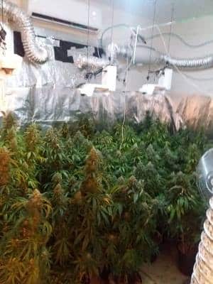 maabada student petah tikva1