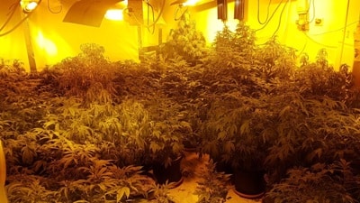 maabada yanush korchak haifa