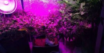 מעבדת סמים נתפסה ברחובות