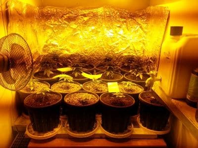 maabedet-samim-ashdod