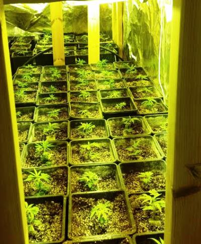 maabedet-samim-raanna1