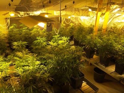 maabedet-samim-raanna3