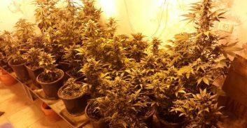 חשד: תושבי טייבה הפעילו מעבדת סמים בטול כרם