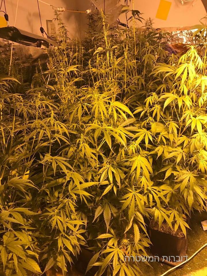 mabada holon 27 2 17