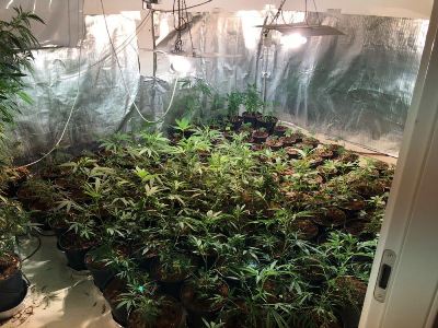 mabada yavne marichuana